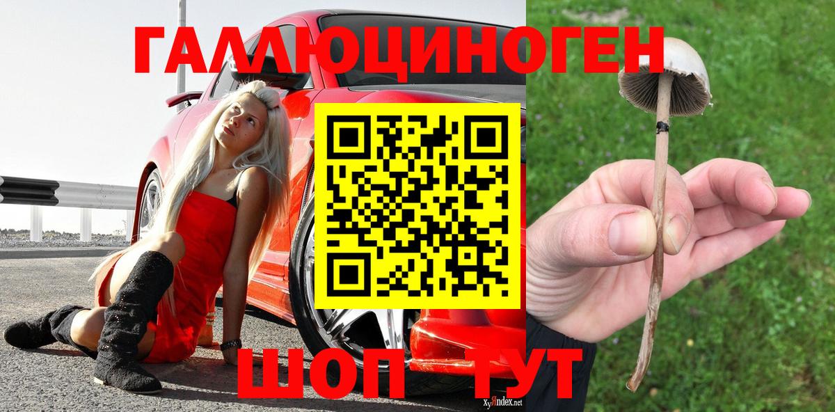 Псилоцибиновые грибы прущие грибы Топки