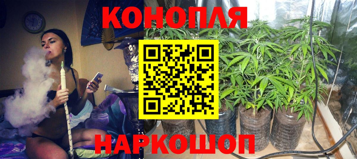 Бошки Шишки планчик  Каннабис тримм  Вход с VPN  Канабис MAZAR  Шишки марихуана Bruce Banner  Топки 